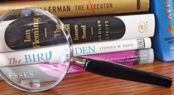 Remake Phenomena in Film Essay Topics