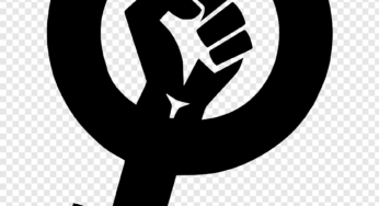 Feminism essay