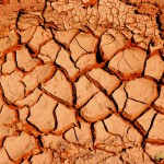 Climate Change Essay Topics